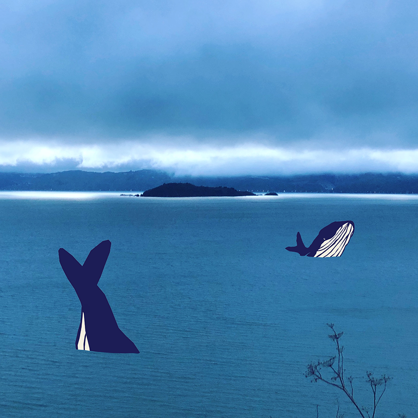 Whales